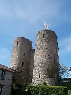 Türme des Château féodal