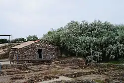 Römisches Zentrum der Produktion von Salzfisch und Konservierung in Tróia