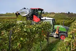 Traubenvollernter während des Entleerens des Traubenbehälters auf einen Traktoranhänger.