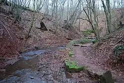 Das Flussbett des Mühlenbachs