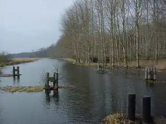 Trebel bei Nehringen