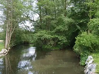 Mündung der Trebgast (rechts im Bild) in den Weißen Main (von hinten nach vorn)