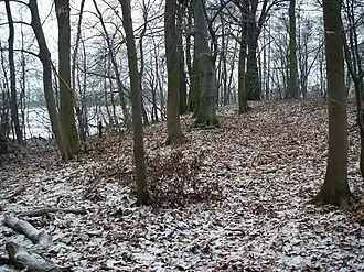 Burgwall Treskow am Ruppiner See