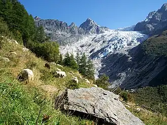 Trientgletscher, im Hintergrund die Petite Pointe d’Orny (3187 m)