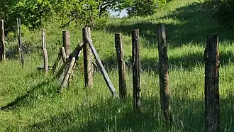 Orchideenwiese hinter der Einzäunung