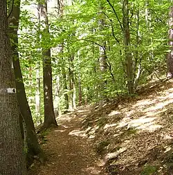 Saar-Pfalz-Weg östlich von Annweiler am Trifels