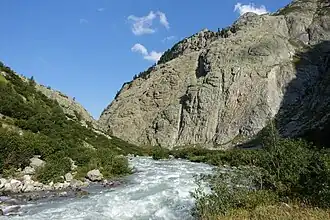Mit dem Bau einer Staumauer würde der Wildbach auf wenig Restwasser reduziert und …