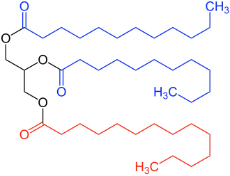 Triglycerid