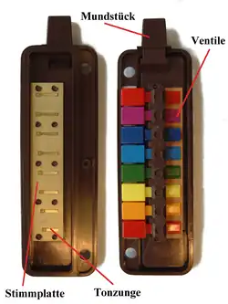 Das Innenleben der Triola