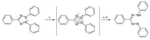 Reduktion des Tetrazolium-Kation über ein Tetrazolium-Radikal zum Formazan
