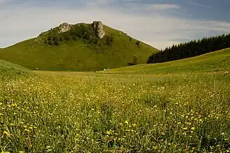 Typisches Erscheinungsbild der Mittleren Kuppenalb: Das Wiesental (ca. 780&nbsp;m), ein Trockental bei Sonnenbühl