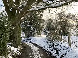 Mächtige Eiche am Weg nach Trotzhaus