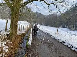 Trotzhauser Siefen und NSG Marscheider Bachtal (rechts)