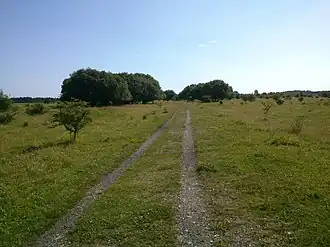 Stiftungsland (Südteil) nahe dem Flugplatz Schäferhaus
