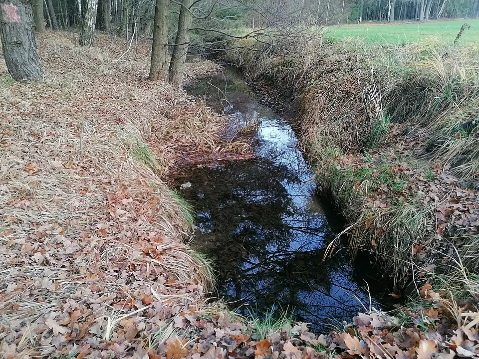 Tschugagraben bei der Brücke auf der Verbindungsstraße zwischen Harnischdorf und Schorbus