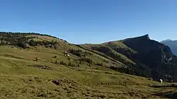 Vorderpalfries mit Gonzen