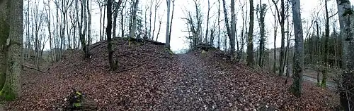 300° Panorama: Links Halsgraben (Nordseite), Mitte: Nordwall und heutiger Zugang; Rechts Weg ins Krebsbachtal