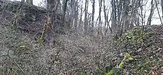 Blick nach Osten: links die Vorburg, mittig ein Arm des Halsgrabens, rechts: Zwischenstück