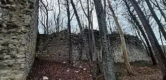 Palasruine von der Westseite