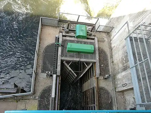 Neu installiertes Fisch-Hebewerk