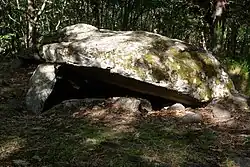 Dolmen de la Pineyre