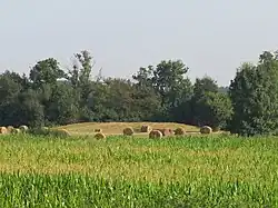 Feld über der Nekropole von Les Prés-de-l’Eau