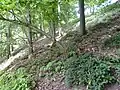 Böschung des Burgkegels