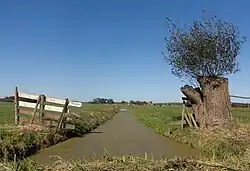 Graben in polder zwischen Ameide und Meerkerk