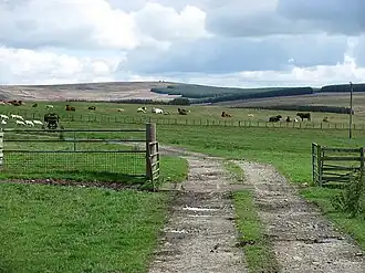 Blick von Westen auf den Twin Law