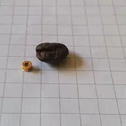 Paukenröhrchen aus Metall, daneben als Größenmaßstab eine Kaffeebohne. Fotografiert auf einem karierten Blatt Papier, ebenfalls als Größenmaßstab (Kantenlänge der Karos 5 mm).