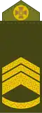 Старший майстер-сержант (Senior Master Sergeant)