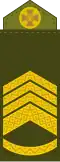 Головний майстер-сержант (Chief Master Sergeant)
