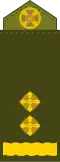 Підполковник (Oberstleutnant)