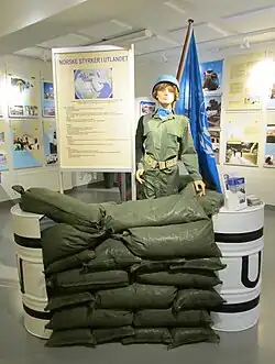 Norwegische UN-Friedens­truppen