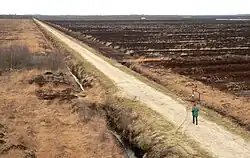 Blick vom Beobachtungsturm ins Moor