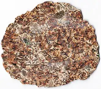 Fragment von Erg Chech 002 (~6.5&nbsp;cm Durchmesser an der breitesten Stelle)