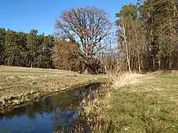 Upstallfließ, Zufluss des Hellsees und Teil des Rundweges