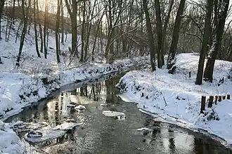 Urdenbacher Altrhein im Winter