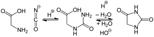 Synthese von Hydantoin aus Glycin und Isocyanat (Urech-Synthese)
