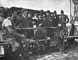 Urs (Ursus) Eggenschwyler (1849–1923) Bildhauer, Zeichner. 1903 mit seinem Zürcher Löwen "Züri-Leuli"