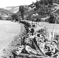 Waldbahnzug mit Stammholz, Holz­scheiten und Stubben zwischen Krivaja und Blatnica, 1967