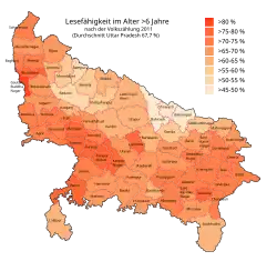 Lesefähigkeit