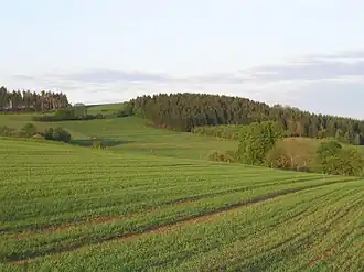 Das Völzberger Köpfchen von Westen