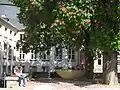 Kastanie und Brunnen im Innenhof Blick auf Gebäude Marsiliusplatz und Schulgasse