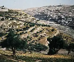 Foto (Ende 19. Jhd.)