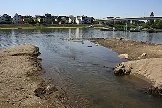 Die Rheinmündung in Vallendar