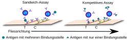 Schematischer Vergleich von Sandwich-Assay und kompetitivem Assay
