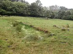 Ruinen der galloromanischen Festung