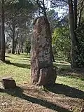 Menhir 1 von Veyssières