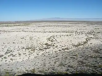 Wüstenlandschaft bei Viesca